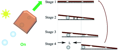 Graphical abstract: Light-controlled two-dimensional TiO2 plate micromotors