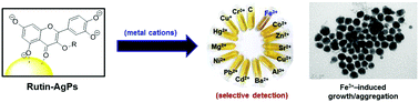 Graphical abstract: Rutin-modified silver nanoparticles as a chromogenic probe for the selective detection of Fe3+ in aqueous medium