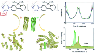 Graphical abstract: Enrichment of highly pure large-diameter semiconducting SWCNTs by polyfluorene-containing pyrimidine ring