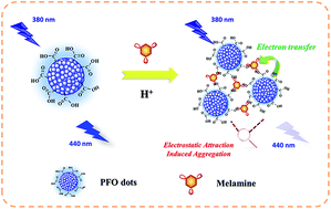 Graphical abstract: Electrostatic attraction-induced aggregation of polymer dots for the facile detection of melamine migration