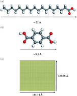 Graphical abstract: Observing the three-dimensional terephthalic acid supramolecular growth mechanism on a stearic acid buffer layer by molecular simulation methods