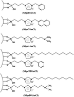 Graphical abstract: Mono and co-immobilization of imidazolium ionic liquids on silica: effects of the substituted groups on the adsorption behavior of 2,4-dinitrophenol