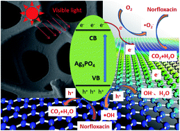 Graphical abstract: Immobilized Ag3PO4/GO on 3D nickel foam and its photocatalytic degradation of norfloxacin antibiotic under visible light
