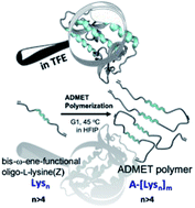 Graphical abstract: Hybrid polymers bearing oligo-l-lysine(carboxybenzyl)s: synthesis and investigations of secondary structure