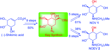 Graphical abstract: Novel stereoselective syntheses of N-octyl-β-valienamine (NOV) and N-octyl-4-epi-β-valienamine (NOEV) from (−)-shikimic acid