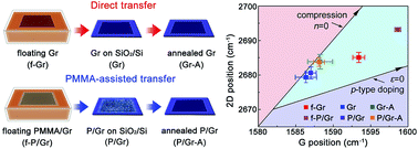 Graphical abstract: Step-by-step monitoring of CVD-graphene during wet transfer by Raman spectroscopy