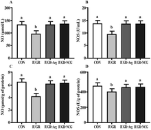 Graphical abstract: N-Carbamylglutamate and l-arginine supplementation improve hepatic antioxidant status in intrauterine growth-retarded suckling lambs