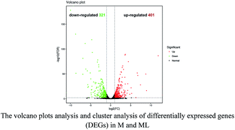 Graphical abstract: Comparative transcriptomic analysis reveals the regulatory effects of inorganic nitrogen on the biosynthesis of Monascus pigments and citrinin