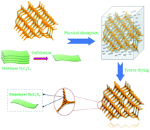 Graphical abstract: A new flexible and ultralight carbon foam/Ti3C2TX MXene hybrid for high-performance electromagnetic wave absorption