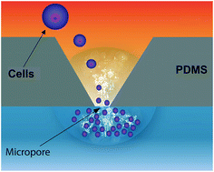 Graphical abstract: Hybrid microchannel-solid state micropore device for fast and optical cell detection