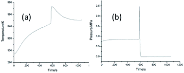 Graphical abstract: Characteristics and hazards of the cinnamaldehyde oxidation process
