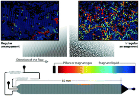 Graphical abstract: Tailoring the multiphase flow pattern of gas and liquid through micro-packed bed of pillars