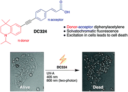 Graphical abstract: Photoactivated cell-killing involving a low molecular weight, donor–acceptor diphenylacetylene