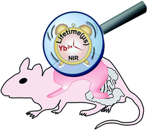 Graphical abstract: Fluorescence lifetime imaging of upper gastrointestinal pH in vivo with a lanthanide based near-infrared τ probe