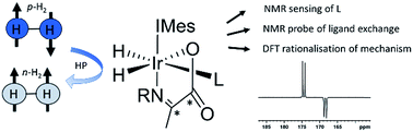 Graphical abstract: Using coligands to gain mechanistic insight into iridium complexes hyperpolarized with para-hydrogen