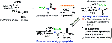 Graphical abstract: Self-promoted and stereospecific formation of N-glycosides