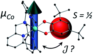 Graphical abstract: Single-ion anisotropy and exchange coupling in cobalt(ii)-radical complexes: insights from magnetic and ab initio studies
