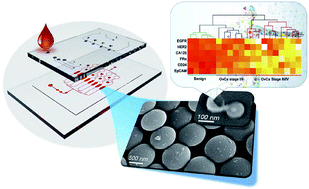 Graphical abstract: Multiplexed immunophenotyping of circulating exosomes on nano-engineered ExoProfile chip towards early diagnosis of cancer
