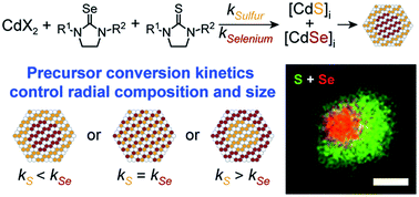 Graphical abstract: Precursor reaction kinetics control compositional grading and size of CdSe1−xSx nanocrystal heterostructures