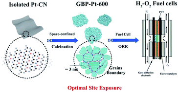 Graphical abstract: Optimal coordination-site exposure engineering in porous platinum for outstanding oxygen reduction performance