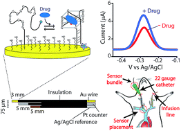 Graphical abstract: Seconds-resolved pharmacokinetic measurements of the chemotherapeutic irinotecan in situ in the living body