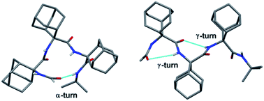 Graphical abstract: Isolated α-turn and incipient γ-helix