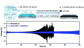 Graphical abstract: A fluorinated alloy-type interfacial layer enabled by metal fluoride nanoparticle modification for stabilizing Li metal anodes