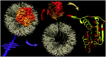 Graphical abstract: Expanding the mass range for UVPD-based native top-down mass spectrometry