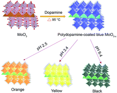 Graphical abstract: Stable and tunable plasmon resonance of molybdenum oxide nanosheets from the ultraviolet to the near-infrared region for ultrasensitive surface-enhanced Raman analysis