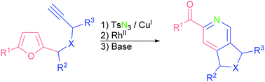 Graphical abstract: Intramolecular azavinyl carbene-triggered rearrangement of furans