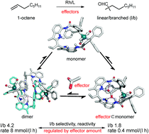 Graphical abstract: Effector responsive hydroformylation catalysis