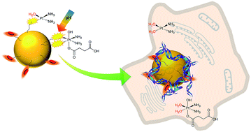 Graphical abstract: Assisted delivery of anti-tumour platinum drugs using DNA-coiling gold nanoparticles bearing lumophores and intercalators: towards a new generation of multimodal nanocarriers with enhanced action