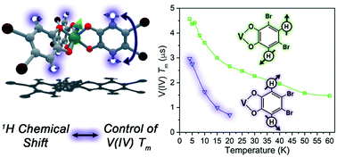 Graphical abstract: Nuclear-spin-pattern control of electron-spin dynamics in a series of V(iv) complexes