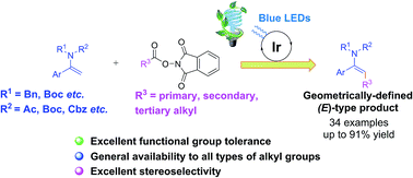 Graphical abstract: Photoredox-catalyzed stereoselective alkylation of enamides with N-hydroxyphthalimide esters via decarboxylative cross-coupling reactions