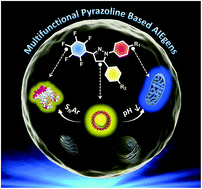 Graphical abstract: Multifunctional pyrazoline based AIEgens: real-time tracking and specific protein “fishing” of lipid droplets