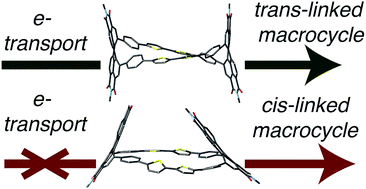 Graphical abstract: The importance of intramolecular conductivity in three dimensional molecular solids