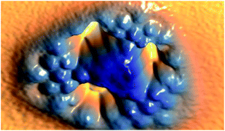 Graphical abstract: Synthesis and reactivity of a trigonal porous nanographene on a gold surface
