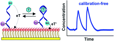 Graphical abstract: High frequency, calibration-free molecular measurements in situ in the living body