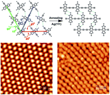 Graphical abstract: Hydrogen bond guided synthesis of close-packed one-dimensional graphdiyne on the Ag(111) surface