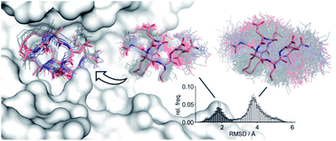 Graphical abstract: Adapting free energy perturbation simulations for large macrocyclic ligands: how to dissect contributions from direct binding and free ligand flexibility