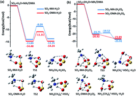 Graphical abstract: A possible unaccounted source of atmospheric sulfate formation: amine-promoted hydrolysis and non-radical oxidation of sulfur dioxide