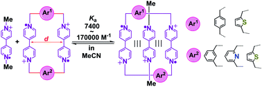 Graphical abstract: Tuning radical interactions in trisradical tricationic complexes by varying host-cavity sizes