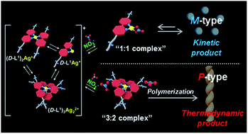 Graphical abstract: Kinetically controlled Ag+-coordinated chiral supramolecular polymerization accompanying a helical inversion