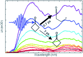 Graphical abstract: Effects of ring-strain on the ultrafast photochemistry of cyclic ketones