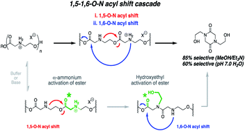 Graphical abstract: Synthesis and mechanistic investigations of pH-responsive cationic poly(aminoester)s