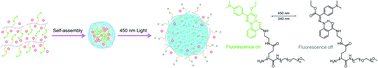 Graphical abstract: Visualizing intracellular particles and precise control of drug release using an emissive hydrazone photochrome