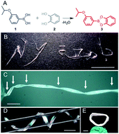 Graphical abstract: Efficiently self-healing boronic ester crystals
