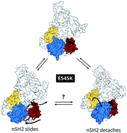 Graphical abstract: Unravelling the effect of the E545K mutation on PI3Kα kinase