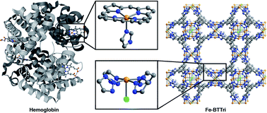 Graphical abstract: Biomimetic O2 adsorption in an iron metal–organic framework for air separation
