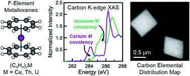 Graphical abstract: The duality of electron localization and covalency in lanthanide and actinide metallocenes